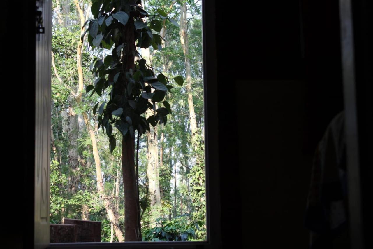Kaikane Homestay Madikeri Exteriér fotografie